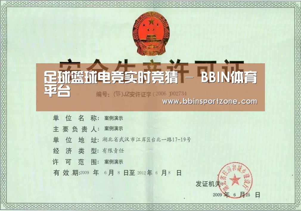 BBIN下载荣誉证书三