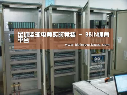 BBIN下载案例展示五