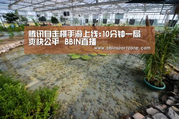 BBIN下载
