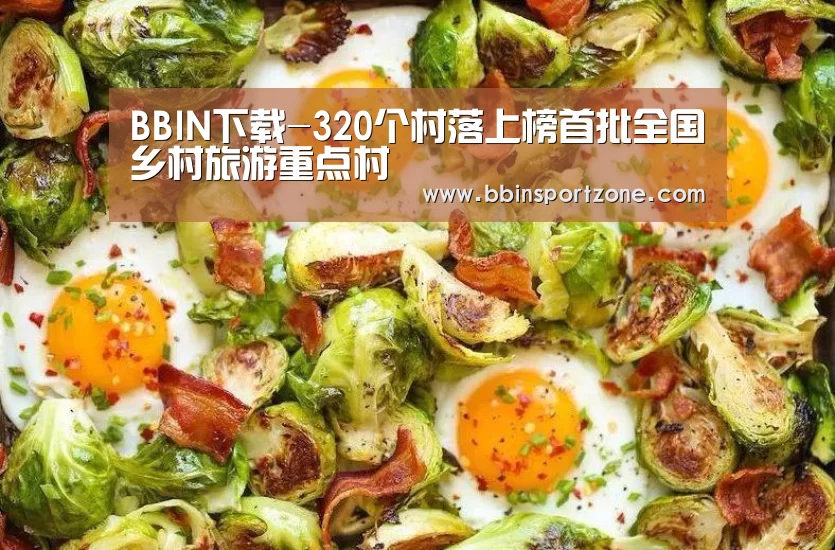 BBIN视讯