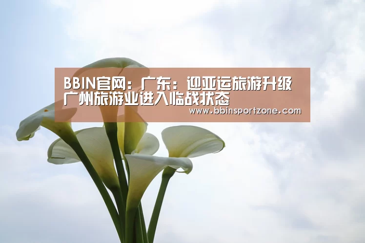 BBIN视讯