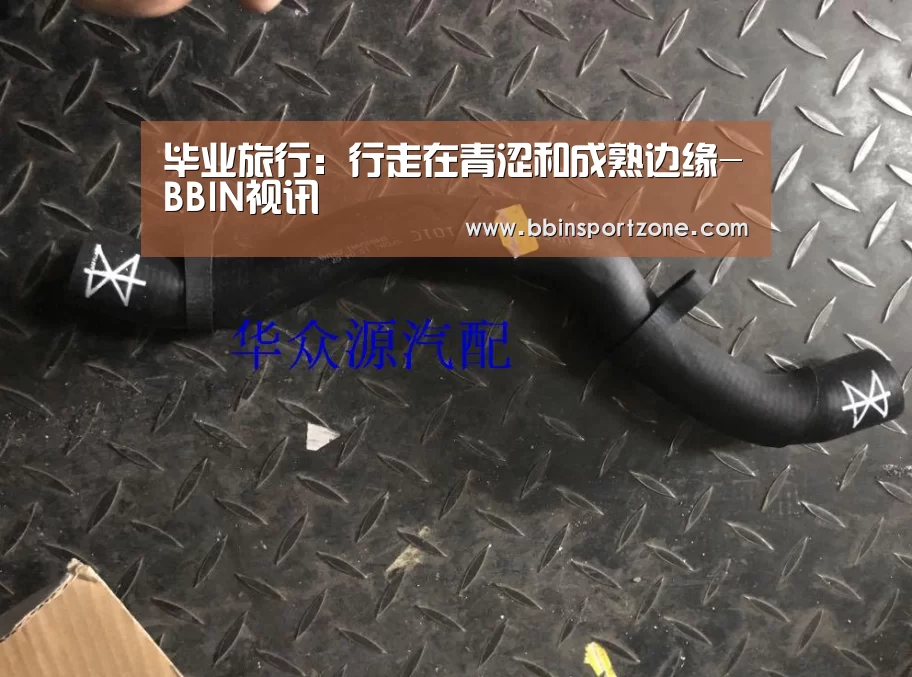 BBIN视讯