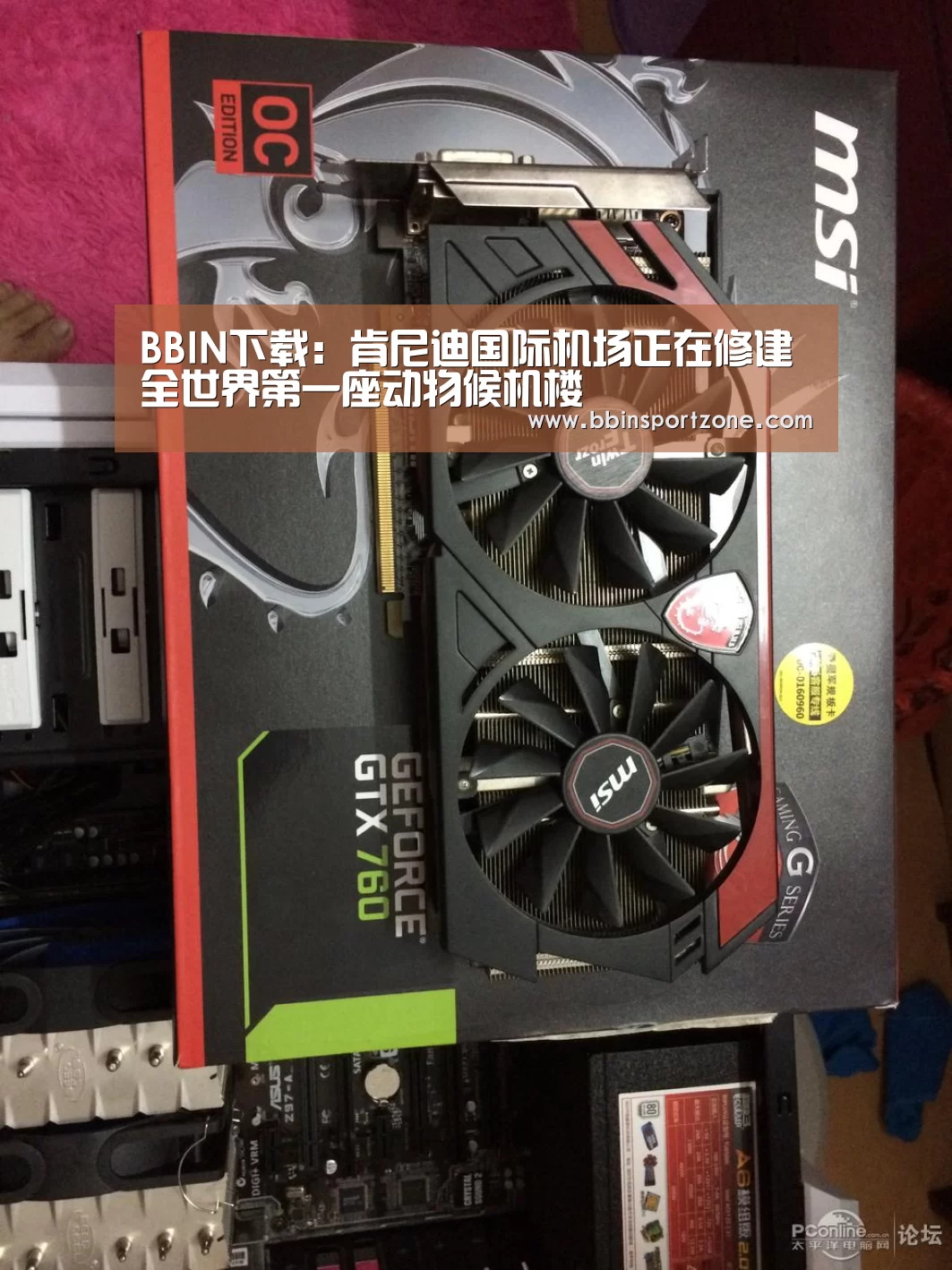 BBIN下载