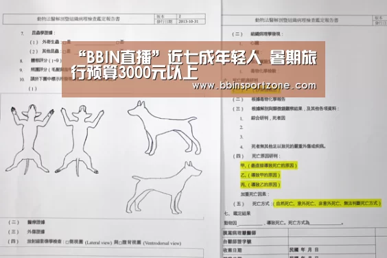 BBIN官网