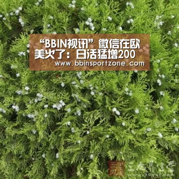 BBIN官网