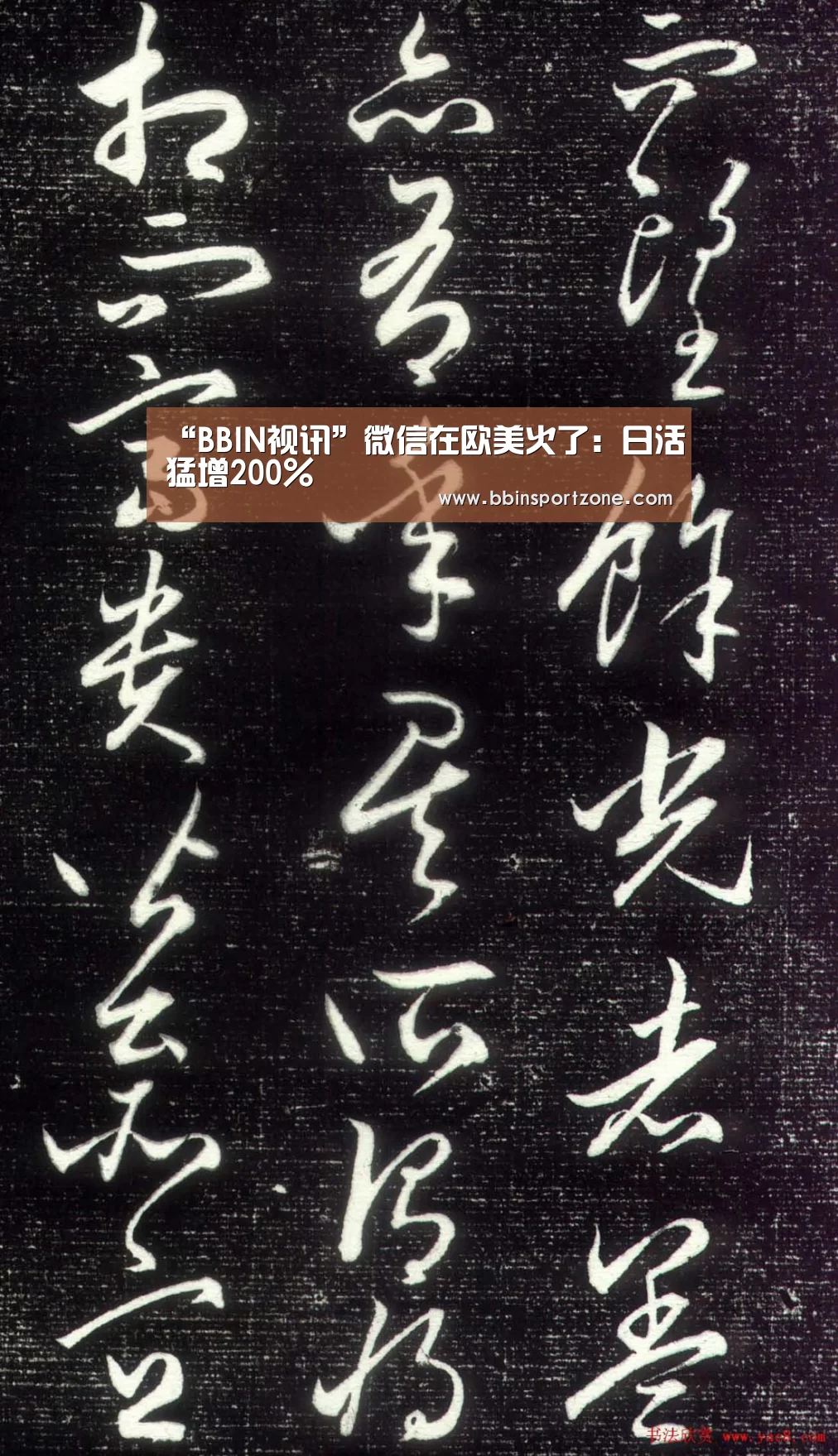 BBIN官网