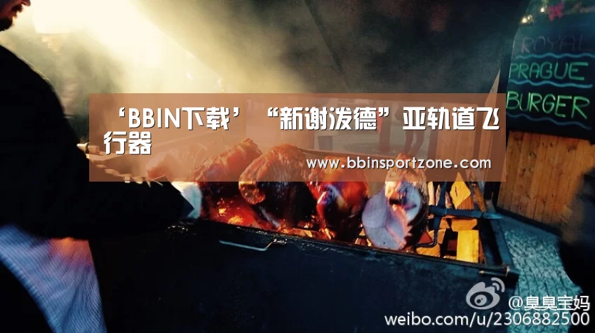 BBIN下载