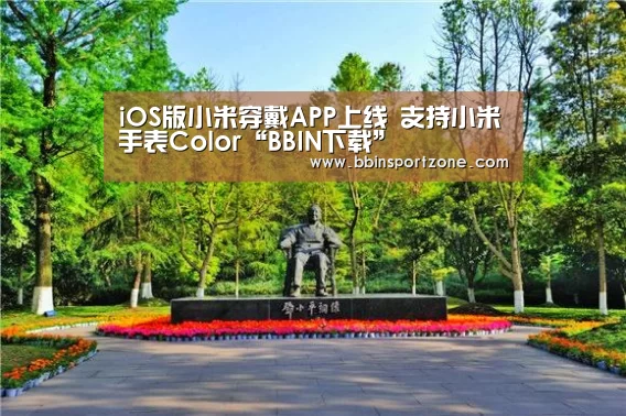 BBIN下载