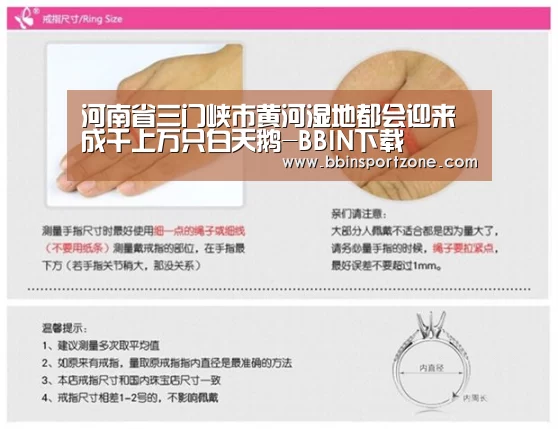 BBIN视讯